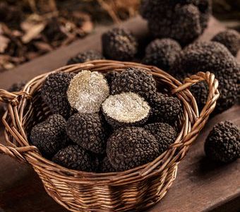 Kuliner Berkelanjutan: Saat Chef Bintang Lima Lebih Pilih Daun Singkong daripada Truffle Impor